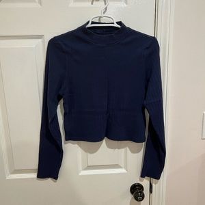 American Eagle Cropped Scooped Neck Long Sleeve